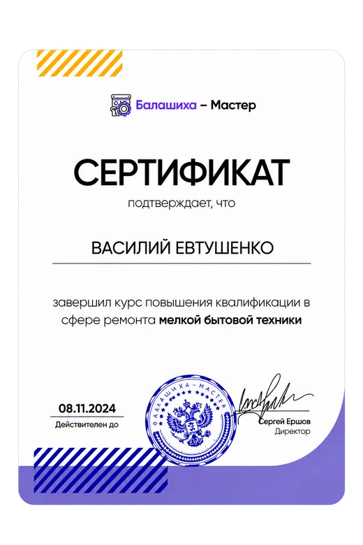 Сертификат мастера Василий Евтушенко