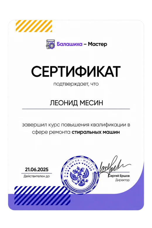 Сертификат мастера Леонид Месин