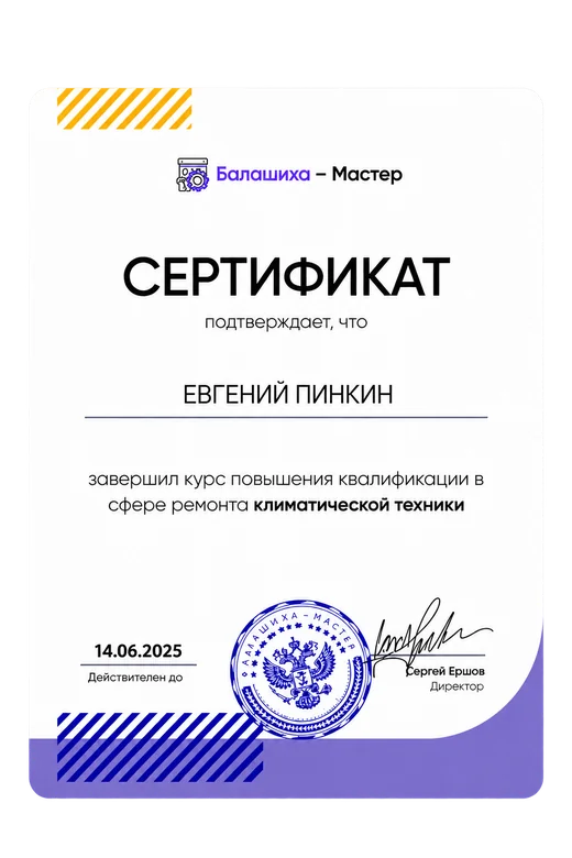 Сертификат мастера Евгений Пинкин