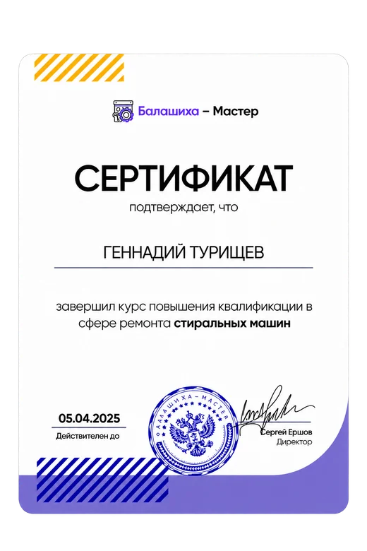 Сертификат мастера Геннадий Турищев